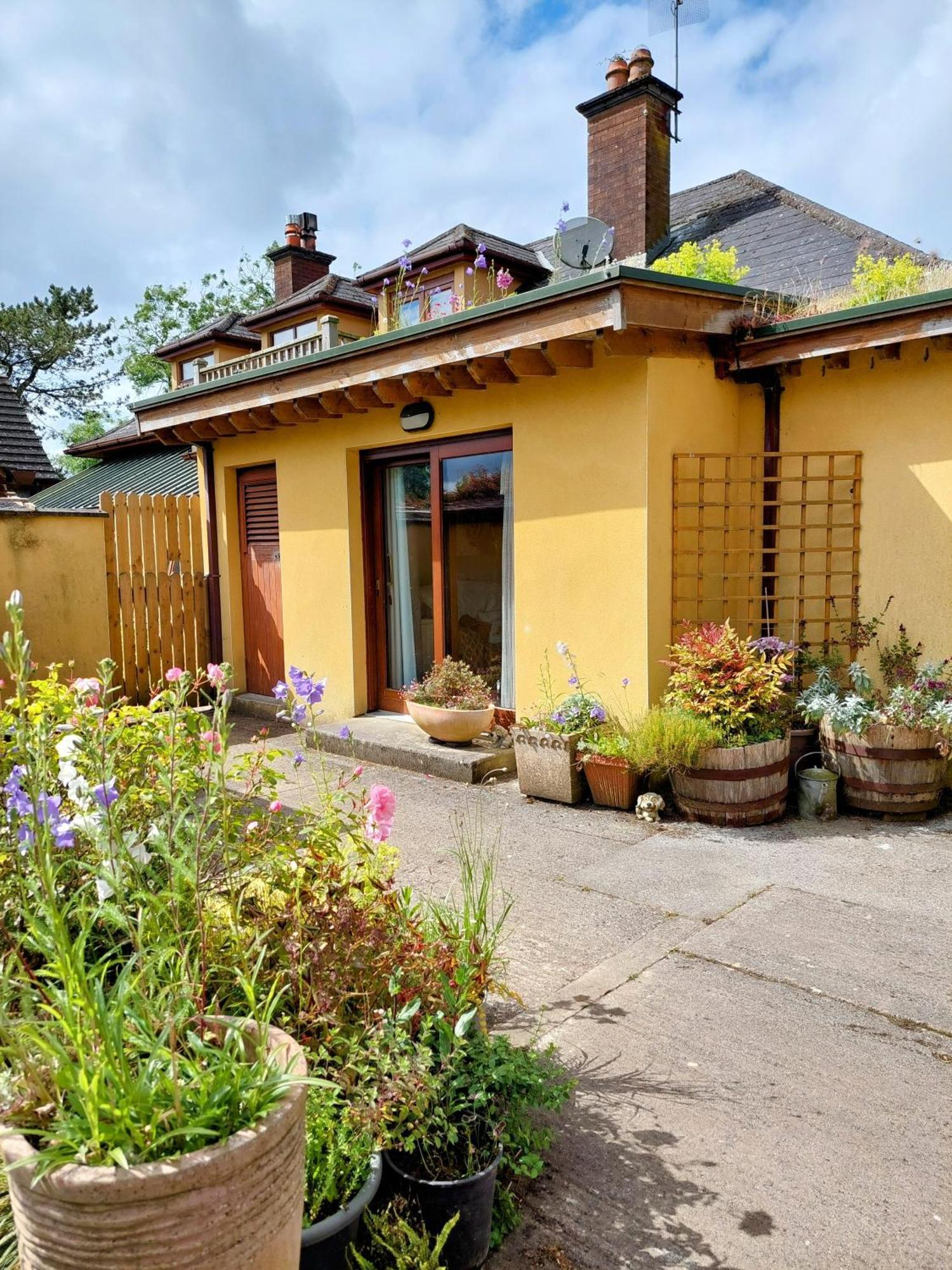 The Veterinary @ Kildare Village Exterior foto